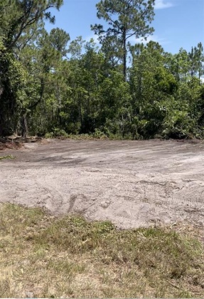 POINCIANA, Florida 34759, ,Land,For Sale,S5056551