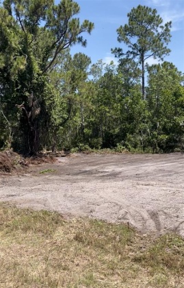 POINCIANA, Florida 34759, ,Land,For Sale,S5056551