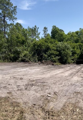 MARLIN DRIVE, POINCIANA, Florida 34759, ,Land,For Sale,MARLIN,S5056552