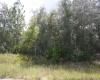 MEDITERRANEAN COURT, POINCIANA, Florida 34759, ,Land,For Sale,MEDITERRANEAN,S5056657