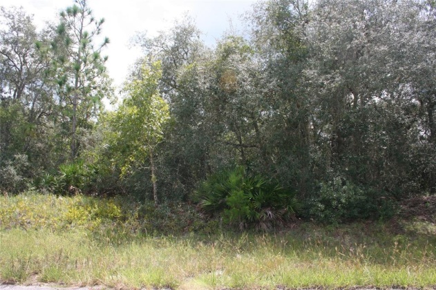 MEDITERRANEAN COURT, POINCIANA, Florida 34759, ,Land,For Sale,MEDITERRANEAN,S5056657