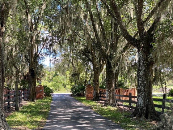 2750 N LAKE REEDY BLVD, FROSTPROOF, Florida 33843, 5 Bedrooms Bedrooms, ,7 BathroomsBathrooms,Residential,For Sale,N LAKE REEDY BLVD,K4901529