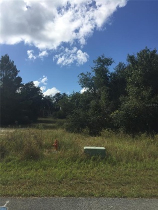 4138 ORCHID BOULEVARD, LAKE WALES, Florida 33898, ,Land,For Sale,ORCHID,P4917713
