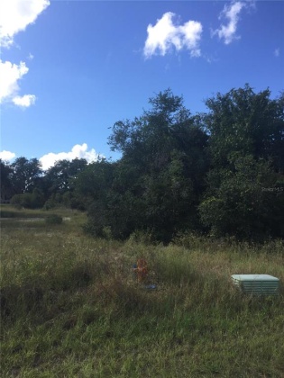4138 ORCHID BOULEVARD, LAKE WALES, Florida 33898, ,Land,For Sale,ORCHID,P4917713