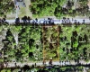 809 HIBISCUS DRIVE, INDIAN LAKE ESTATES, Florida 33855, ,Land,For Sale,HIBISCUS,T3334046