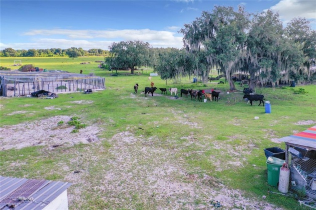 SAND DOLLAR STREET, LAKE WALES, Florida 33859, ,Land,For Sale,SAND DOLLAR,S5056735