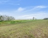 292 CALADIUM AVENUE, LAKE ALFRED, Florida 33850, ,Land,For Sale,CALADIUM,T3335131