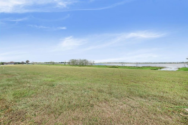 292 CALADIUM AVENUE, LAKE ALFRED, Florida 33850, ,Land,For Sale,CALADIUM,T3335131
