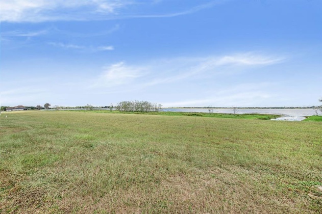 292 CALADIUM AVENUE, LAKE ALFRED, Florida 33850, ,Land,For Sale,CALADIUM,T3335131