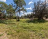 6735 TACKLE COURT, LAKE WALES, Florida 33898, ,Land,For Sale,TACKLE,P4917973