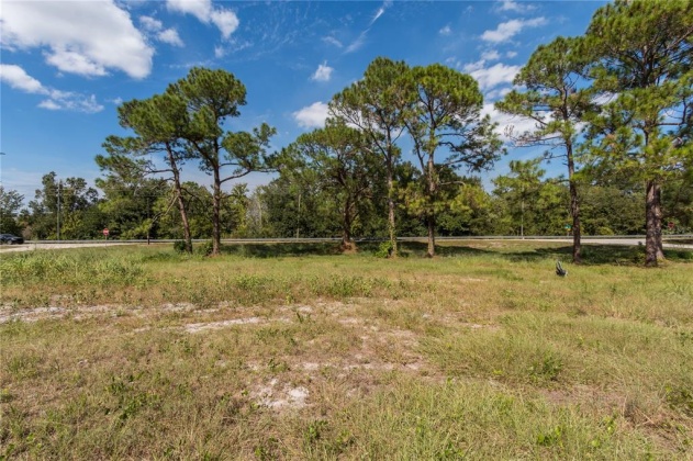 6735 TACKLE COURT, LAKE WALES, Florida 33898, ,Land,For Sale,TACKLE,P4917973