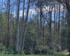 COMMONWEALTH AVENUE, POLK CITY, Florida 33868, ,Land,For Sale,COMMONWEALTH,G5048628