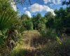 0 PALM AVENUE, HAINES CITY, Florida 33844, ,Land,For Sale,PALM,O5984986