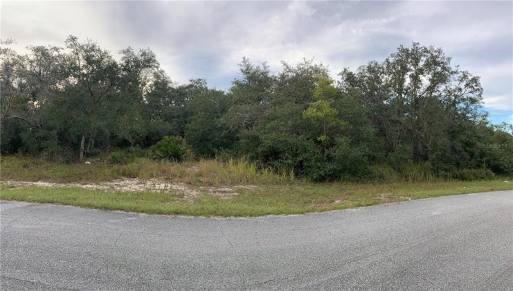 1621 PICKEREL COURT, POINCIANA, Florida 34759, ,Land,For Sale,PICKEREL,O5984504