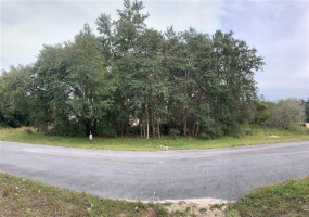 1613 TENCH COURT, POINCIANA, Florida 34759, ,Land,For Sale,TENCH,O5984465