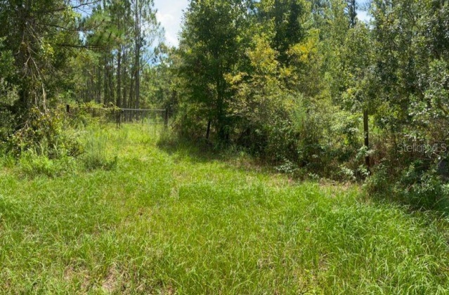 COUNTRY WORLD DRIVE, DAVENPORT, Florida 33897, ,Land,For Sale,COUNTRY WORLD,S5058292
