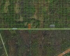 OLD GRADE ROAD, POLK CITY, Florida 33868, ,Land,For Sale,OLD GRADE,A4481155