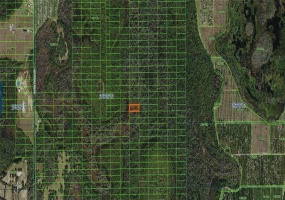 SWEETHILL ROAD, POLK CITY, Florida 33868, ,Land,For Sale,SWEETHILL,A4481364