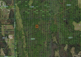 OLD GRADE ROAD, POLK CITY, Florida 33868, ,Land,For Sale,OLD GRADE,A4481366