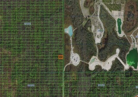SWEETHILL ROAD, POLK CITY, Florida 33868, ,Land,For Sale,SWEETHILL,A4481369