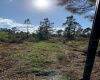 CAMP MACK ROAD, LAKE WALES, Florida 33898, ,Land,For Sale,CAMP MACK,P4918017