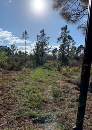 CAMP MACK ROAD, LAKE WALES, Florida 33898, ,Land,For Sale,CAMP MACK,P4918017