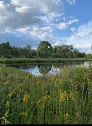 CAMP MACK ROAD, LAKE WALES, Florida 33898, ,Land,For Sale,CAMP MACK,P4918017