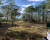 CAMP MACK ROAD, LAKE WALES, Florida 33898, ,Land,For Sale,CAMP MACK,P4918017