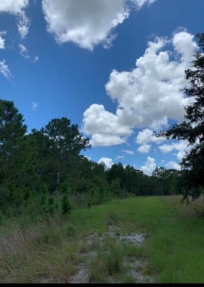 CAMP MACK ROAD, LAKE WALES, Florida 33898, ,Land,For Sale,CAMP MACK,P4918017