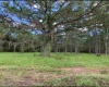 CAMP MACK ROAD, LAKE WALES, Florida 33898, ,Land,For Sale,CAMP MACK,P4918017