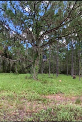 CAMP MACK ROAD, LAKE WALES, Florida 33898, ,Land,For Sale,CAMP MACK,P4918017