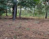 CAMP MACK ROAD, LAKE WALES, Florida 33898, ,Land,For Sale,CAMP MACK,P4918017