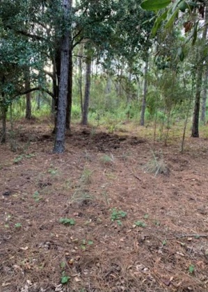 CAMP MACK ROAD, LAKE WALES, Florida 33898, ,Land,For Sale,CAMP MACK,P4918017