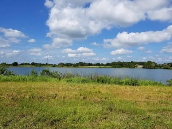 1300 OLD BREWSTER ROAD, FORT MEADE, Florida 33841, ,Land,For Sale,OLD BREWSTER,T3344257
