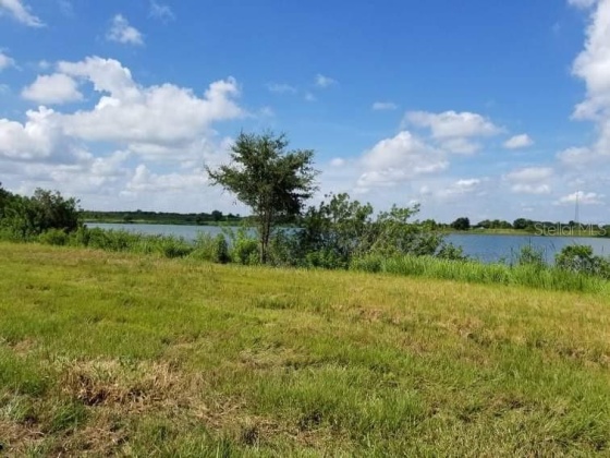 1300 OLD BREWSTER ROAD, FORT MEADE, Florida 33841, ,Land,For Sale,OLD BREWSTER,T3344257