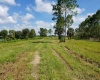 1300 OLD BREWSTER ROAD, FORT MEADE, Florida 33841, ,Land,For Sale,OLD BREWSTER,T3344257