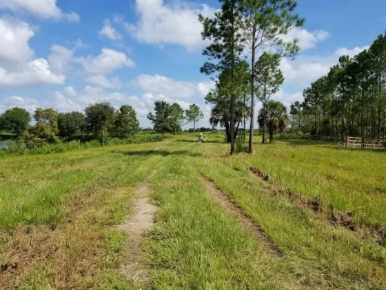 1300 OLD BREWSTER ROAD, FORT MEADE, Florida 33841, ,Land,For Sale,OLD BREWSTER,T3344257