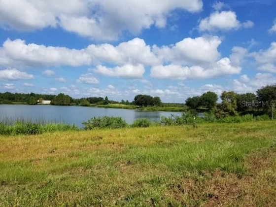 1300 OLD BREWSTER ROAD, FORT MEADE, Florida 33841, ,Land,For Sale,OLD BREWSTER,T3344257