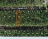 0 CALENDULA DRIVE, INDIAN LAKE ESTATES, Florida 33855, ,Land,For Sale,CALENDULA,G5049585