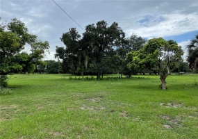 MAMMOTH GROVE ROAD, LAKE WALES, Florida 33898, ,Land,For Sale,MAMMOTH GROVE,P4916788