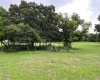 MAMMOTH GROVE ROAD, LAKE WALES, Florida 33898, ,Land,For Sale,MAMMOTH GROVE,P4916788