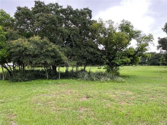 MAMMOTH GROVE ROAD, LAKE WALES, Florida 33898, ,Land,For Sale,MAMMOTH GROVE,P4916788