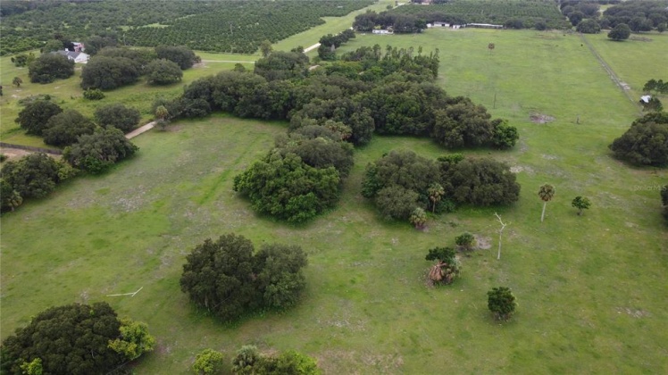 MAMMOTH GROVE ROAD, LAKE WALES, Florida 33898, ,Land,For Sale,MAMMOTH GROVE,P4916788