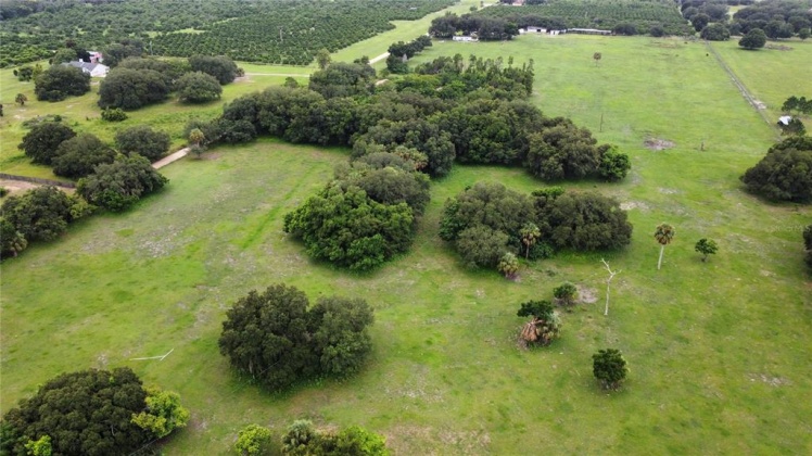 MAMMOTH GROVE ROAD, LAKE WALES, Florida 33898, ,Land,For Sale,MAMMOTH GROVE,P4916788