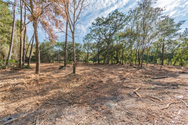 WOODRIDGE DRIVE, POLK CITY, Florida 33868, ,Land,For Sale,WOODRIDGE,T3344776