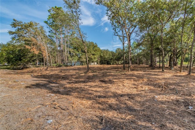 WOODRIDGE DRIVE, POLK CITY, Florida 33868, ,Land,For Sale,WOODRIDGE,T3344776