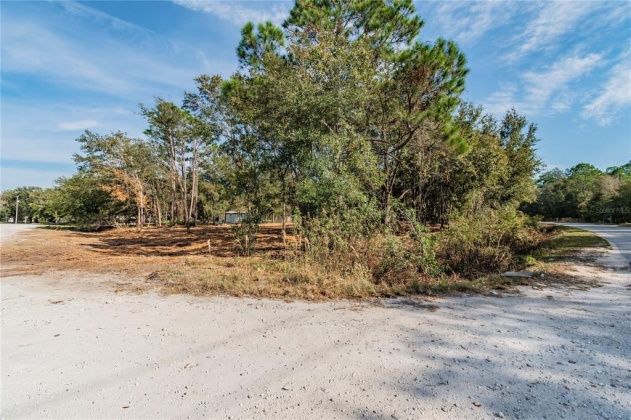 WOODRIDGE DRIVE, POLK CITY, Florida 33868, ,Land,For Sale,WOODRIDGE,T3344776