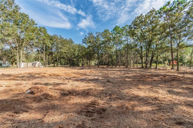 WOODRIDGE DRIVE, POLK CITY, Florida 33868, ,Land,For Sale,WOODRIDGE,T3344776