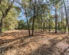 WOODRIDGE DRIVE, POLK CITY, Florida 33868, ,Land,For Sale,WOODRIDGE,T3344776