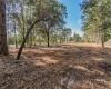 WOODRIDGE DRIVE, POLK CITY, Florida 33868, ,Land,For Sale,WOODRIDGE,T3344776